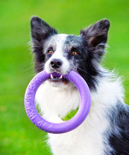Sassbai Toy Puller-Dog Toys-Ascot Saddlery