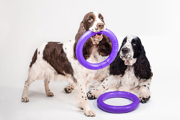 Sassbai Toy Puller-Dog Toys-Ascot Saddlery