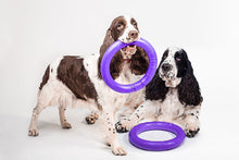 Sassbai Toy Puller-Dog Toys-Ascot Saddlery