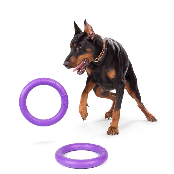 Sassbai Toy Puller-Dog Toys-Ascot Saddlery