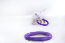 Sassbai Toy Puller-Dog Toys-Ascot Saddlery