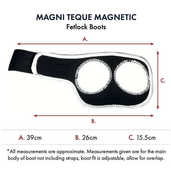 Magni-Teque Magnetic Fetlock Boots