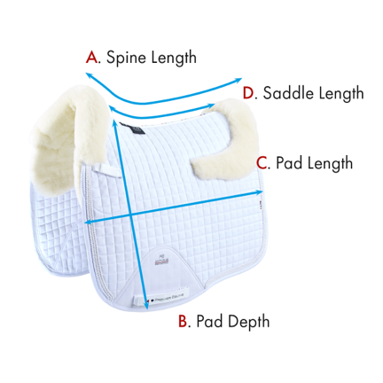 Pony Close Contact Merino Wool Half Lined European Dressage Square