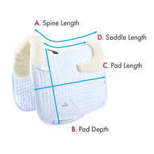 Pony Close Contact Merino Wool Half Lined European Dressage Square