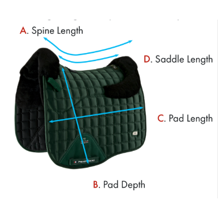 Atlantis Close Contact Satin Wool Dressage Square