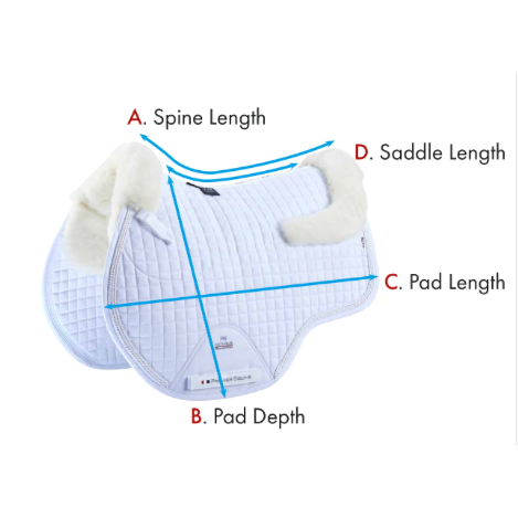 Pony Close Contact Merino Wool Half Lined European GP/Jump Square