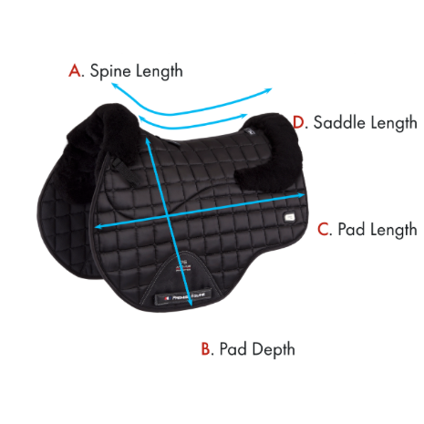 Atlantis Close Contact Satin Wool GP/Jump Square