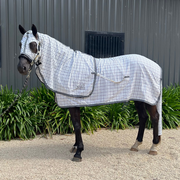 Check Collar Show Rug, Hood, and Tail Bag Set