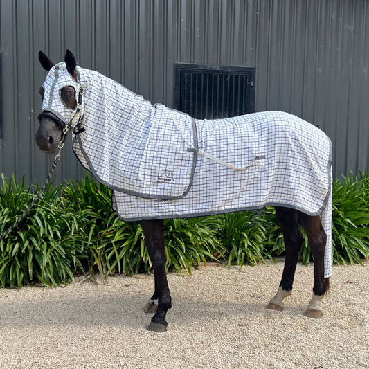 Check Collar Show Rug, Hood, and Tail Bag Set