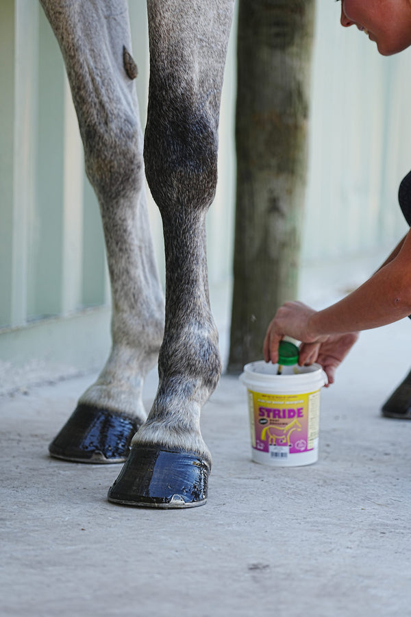 NRG Stride Hoof Dressing 1lt