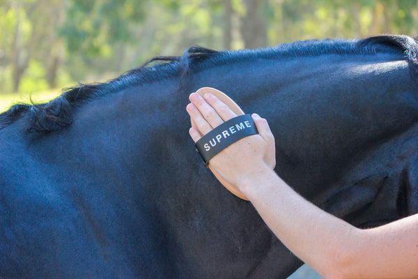 GeeGee COLLECTIVE | 'Fleck' Body Brush