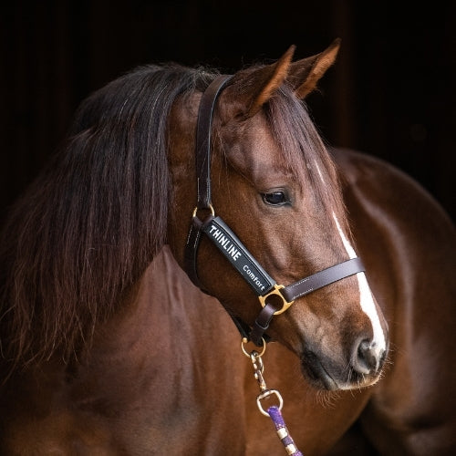 Thinline 2 Piece Halter Cheek Liner