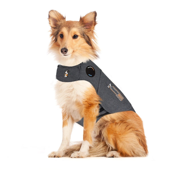 Thunder Anxiety Dog Shirt-Dog Rugs & Fashion-Ascot Saddlery