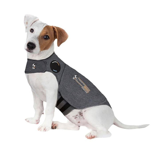 Thunder Anxiety Dog Shirt-Dog Rugs & Fashion-Ascot Saddlery