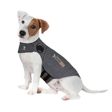Thunder Anxiety Dog Shirt-Dog Rugs & Fashion-Ascot Saddlery