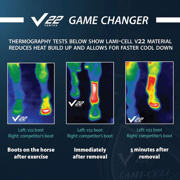 V22 Open Hind Boot Lc Black Large-HORSE: Horse Boots-Ascot Saddlery