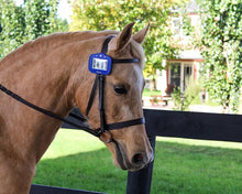 Gold Magnetic Leather Bridle Number Holder