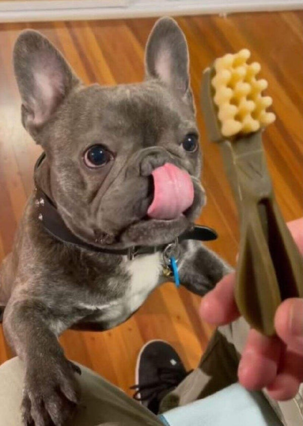 Whimzees Treat Toothbrush Star Value Bag 48-Dog Treats-Ascot Saddlery