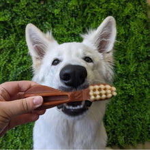 Whimzees Treat Toothbrush Star Value Bag 48-Dog Treats-Ascot Saddlery