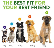 Whimzees Treat Variety Value Box 56-Dog Treats-Ascot Saddlery