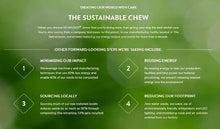 Whimzees Treat Variety Value Box 56-Dog Treats-Ascot Saddlery