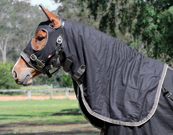 Wool Stadium Hood Zilco Black-RUGS: Winter Rugs, Neck Rugs & Hoods-Ascot Saddlery