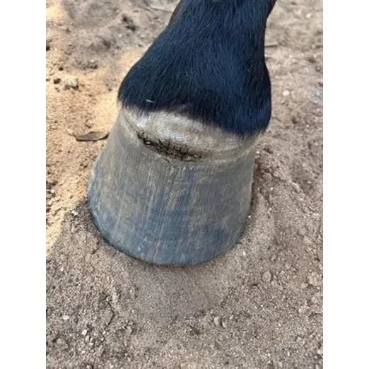 50g Hoofstik