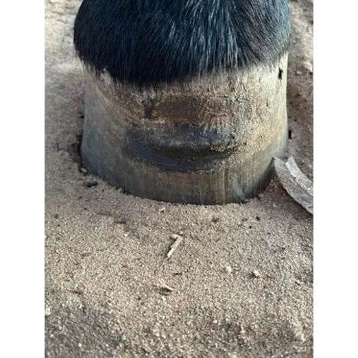 50g Hoofstik
