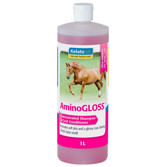 Aminogloss by Kelato - Premium Quality Nutritional Supplement for Horses-Southern Sport Horses-The Equestrian