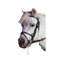 Eureka Event Bridle Shetland Brown