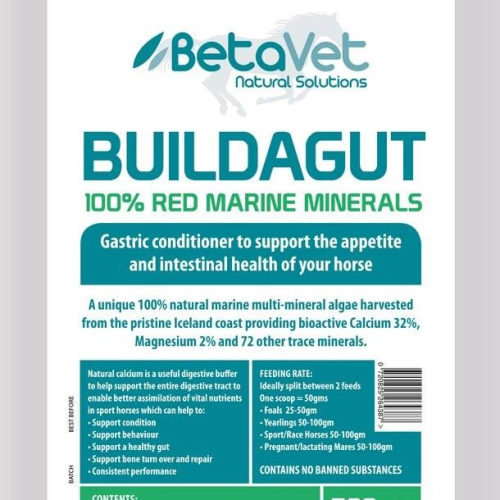 BetaVet BuildaGut-Trailrace Equestrian Outfitters-The Equestrian