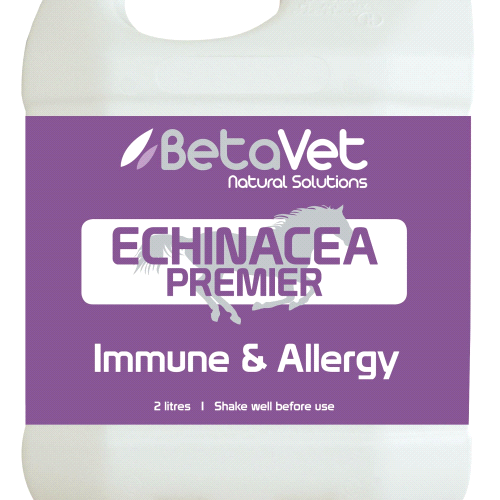 BetaVet Echinacea Premier-Trailrace Equestrian Outfitters-The Equestrian