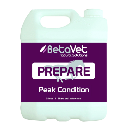 BetaVet Prepare-Trailrace Equestrian Outfitters-The Equestrian