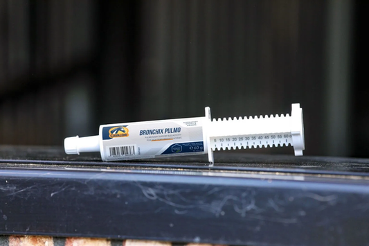Cavalor Equicare Pulmo Paste Bronchix