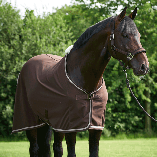 Brown horse show rug on a horse in green field, no visible brand.