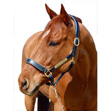 Horse Halter Nameplate