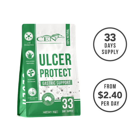 CEN Ulcer Protect-Southern Sport Horses-The Equestrian