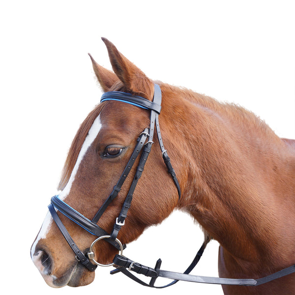 Eureka RETRO EVENT BRIDLE