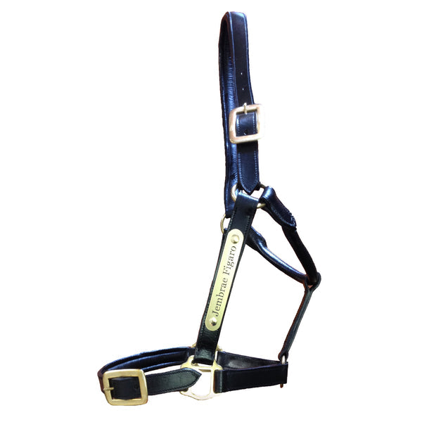 Horse Halter Nameplate
