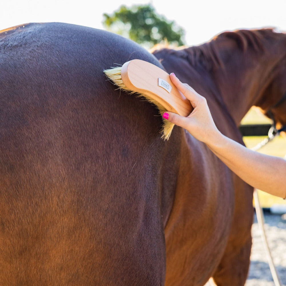 GeeGee COLLECTIVE | 'Dusty' Body Brush