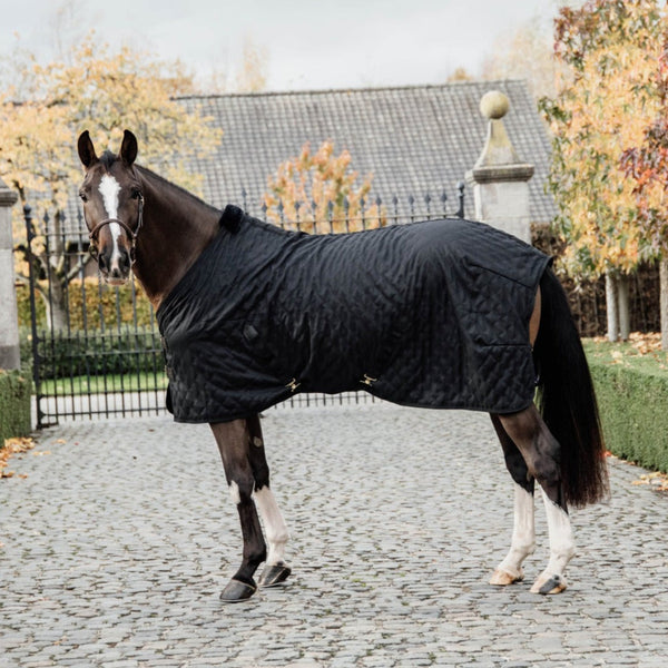 0g Kentucky Horse Rug For Stable