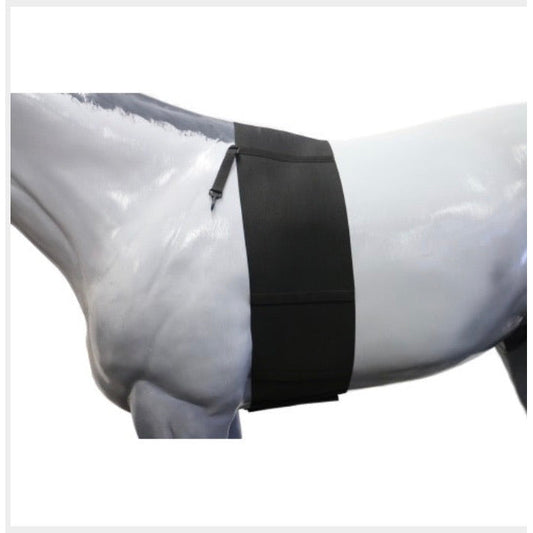 Equi-Prene Elastic Body Bandage-Southern Sport Horses-The Equestrian