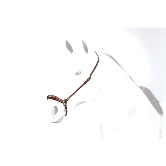 Equipe bridle on a white horse, classic style, leather, clear background.