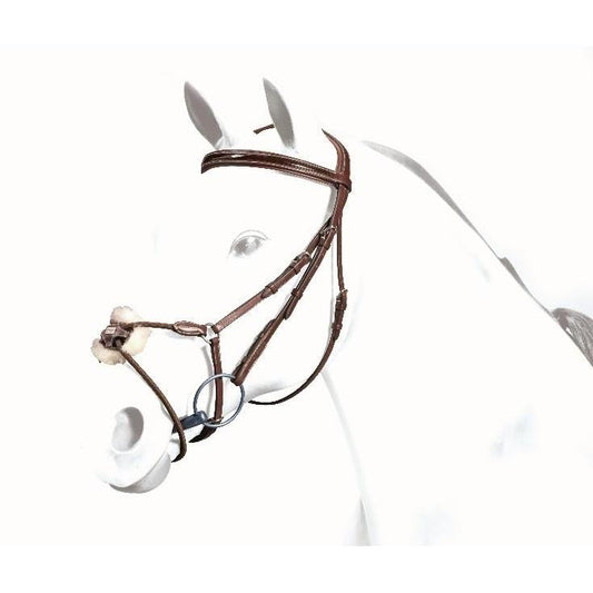 Equipe bridle, leather, classic style, horse head with browband and bit.