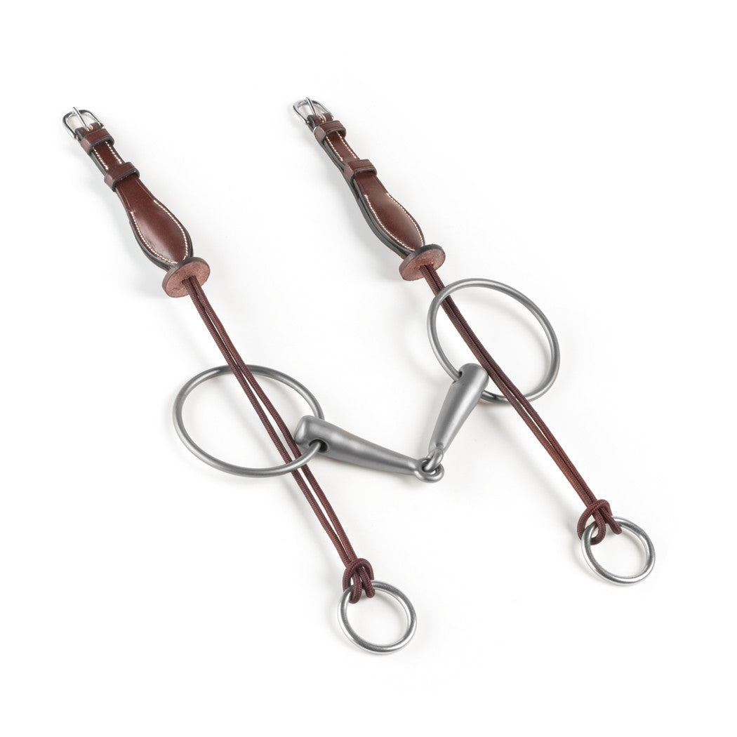 Equipe bridle style, brown leather straps with silver-colored bit.