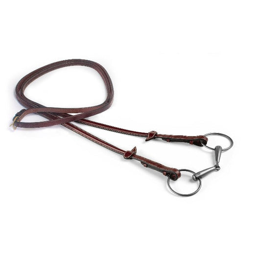 Alt: Equipe bridle, brown leather, classic style, reins attached, white background.