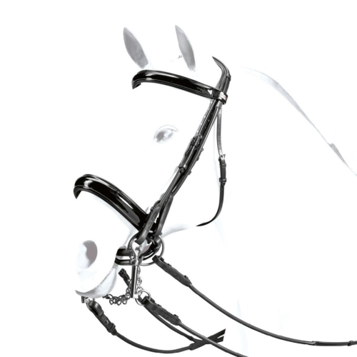 Equipe bridle, black leather, silver fittings, modern design, isolated on white.