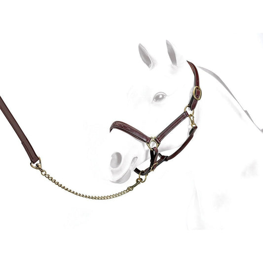 Equipe Leather Lead with Chain-Trailrace Equestrian Outfitters-The Equestrian