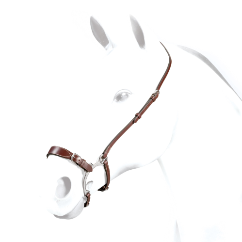 Equipe bridle on horse mannequin, brown leather, classic style.