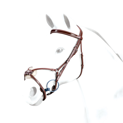 Equipe bridle on model horse head, classical style, leather material.